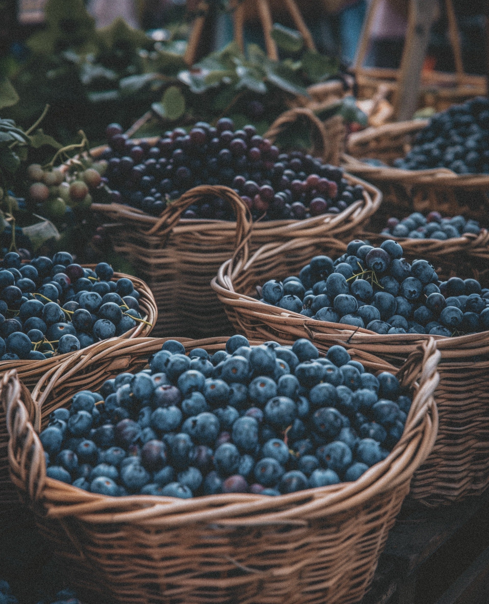 Blueberries in baskets
