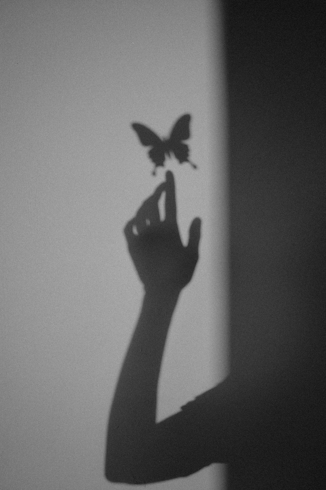 Shadow of woman holding butterfly