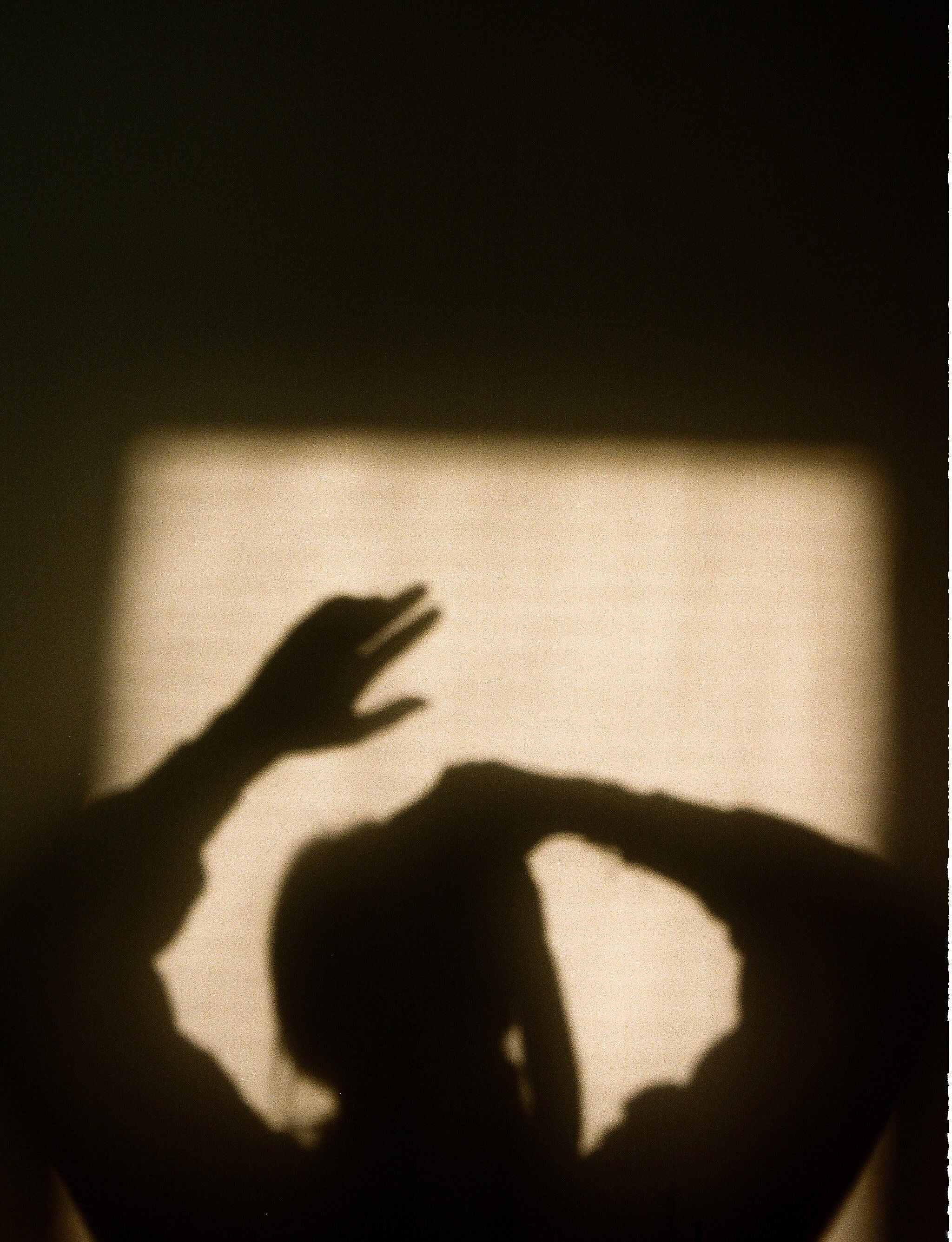 Woman's shadow holding a camera